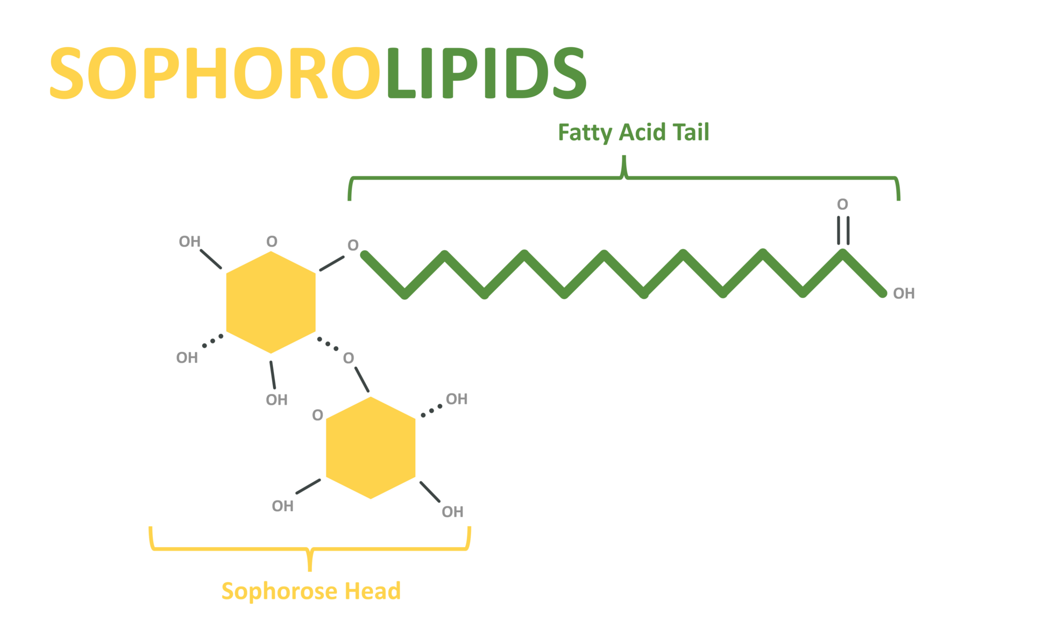 Bio-Based Emulsifiers: Master The 4 Steps Of Emulsification