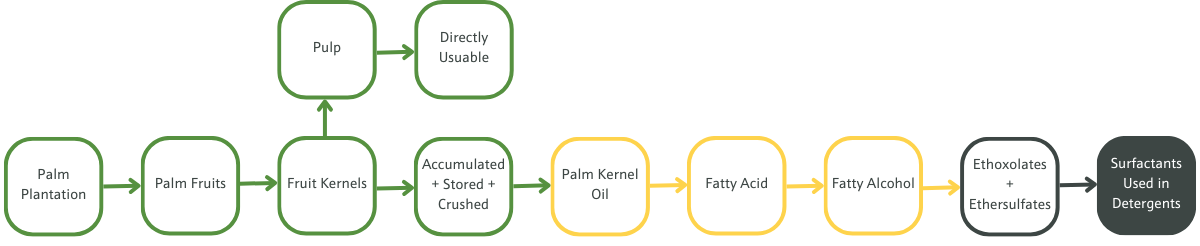 Ethoxylated Ingredients Blog Palm Oil Value Chain