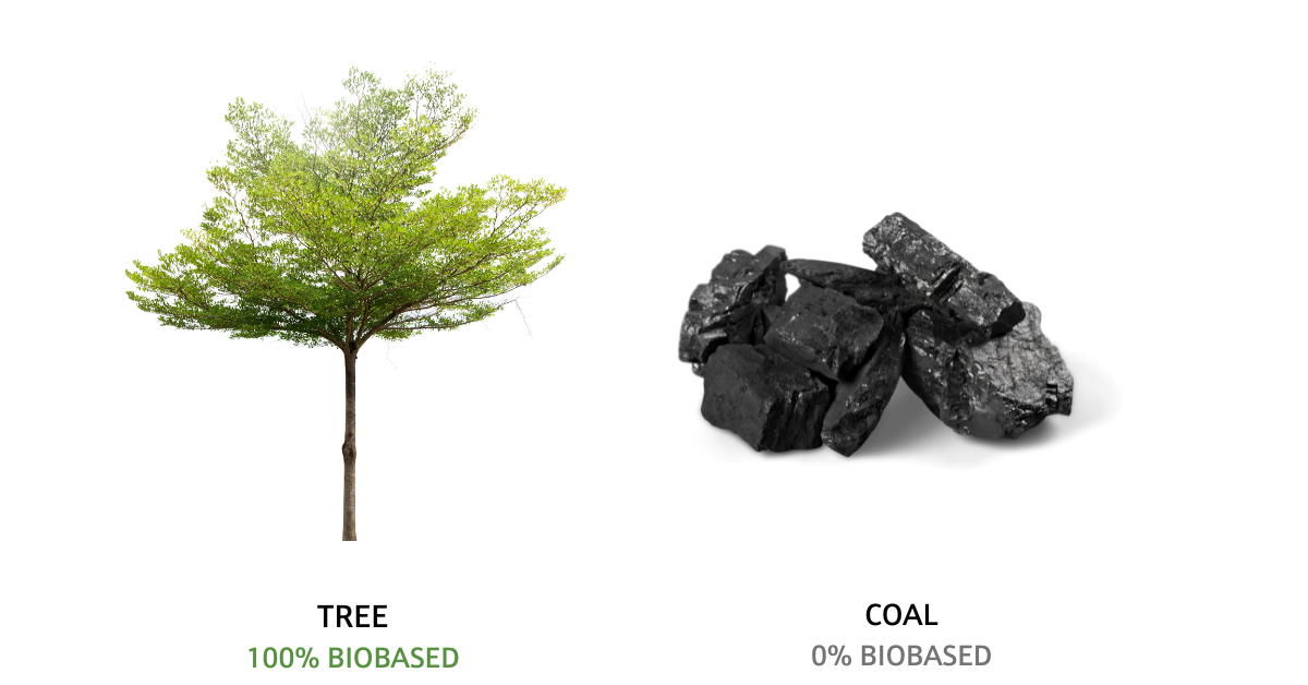 Locus Ingredients Biobased Products Blog Biobased Content Examples Tree Coal